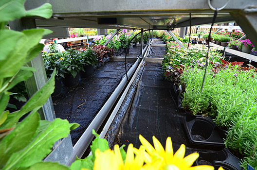 Walmart Launches Passive Irrigation System