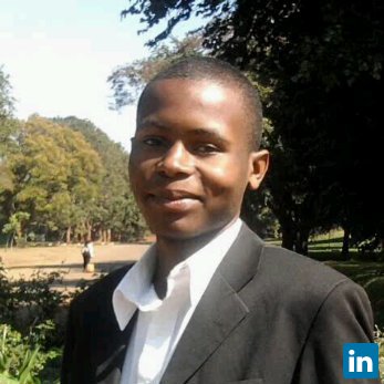 Herbert Raul Nyirenda, Environment, Health and Sanitation