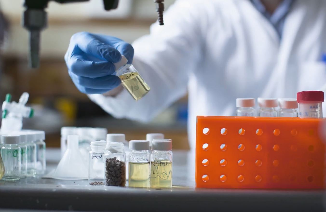 New Type of Polymer Made from Waste Cooking Oil and Sulfur Removes PFAS from Water