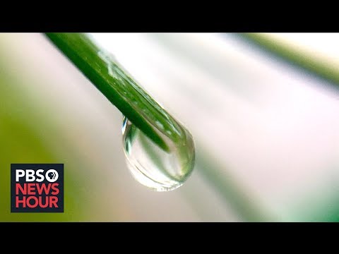 How Scientists are Harvesting Fog to Secure the World's Water Supply (Video)