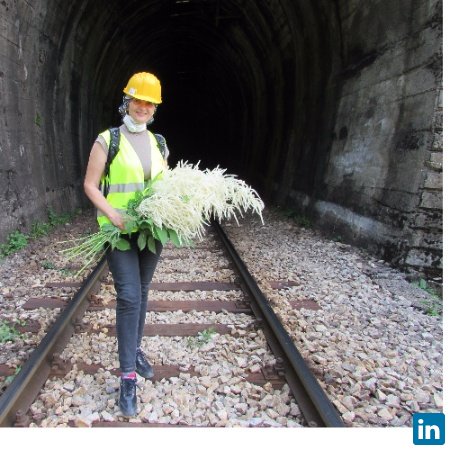 Vera Vujović, Independent Expert for substructure at Railway Infrastructure of Montenegro