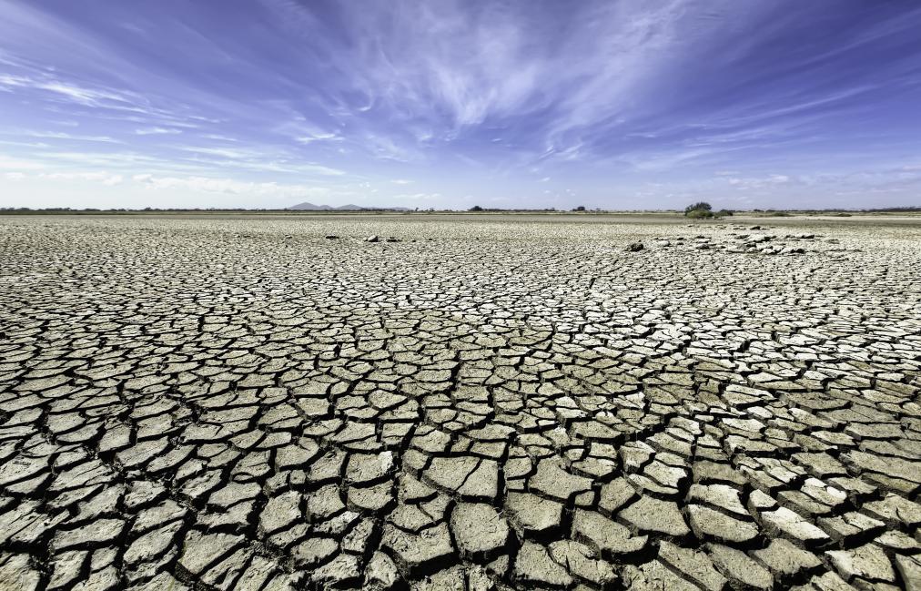 Scientists Are Making Stronger Links Between Climate Change and Extreme Weather