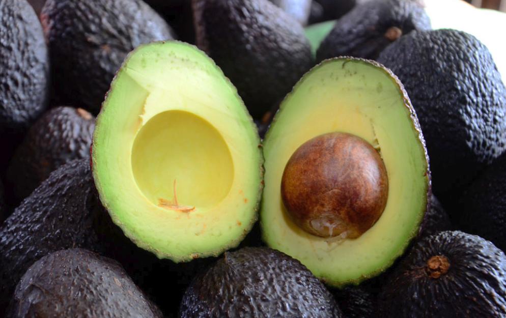 Chilean Avocado Producers are Innovating for Water Efficiency