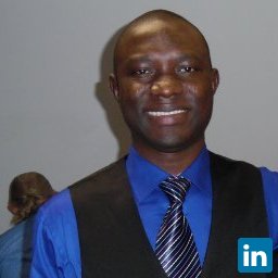 Yinusa Olanrewaju Saheed, Water sector capacity development Consultant