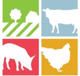 Farm Life Foundation