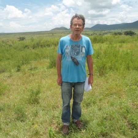 Adriaan van den Dries