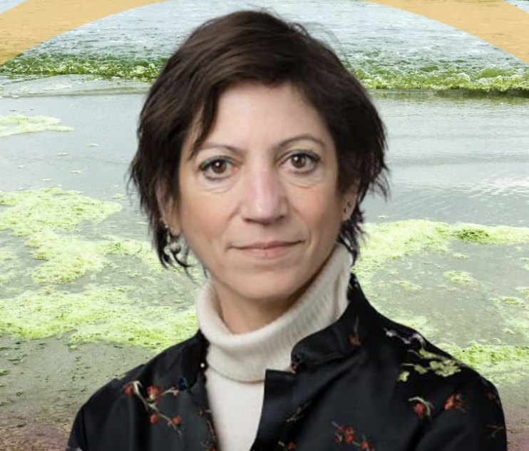 gail krantzberg, Professor at McMaster University