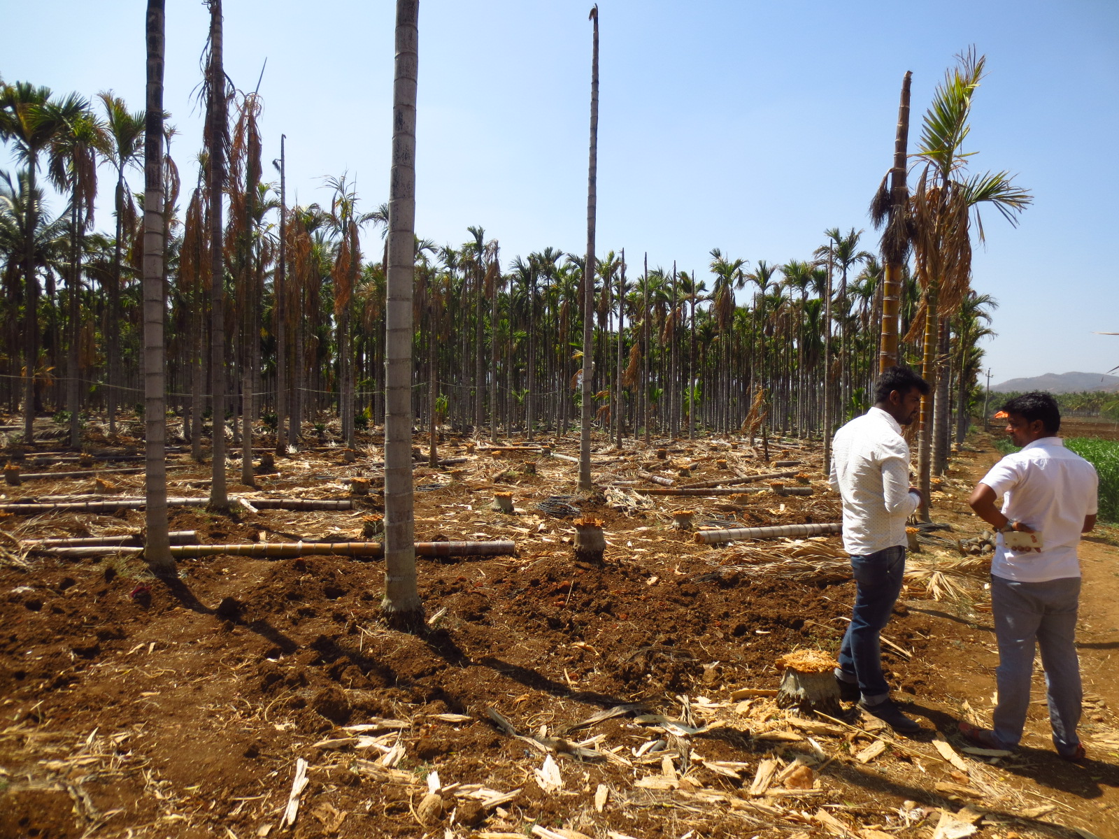 Water Stress in India