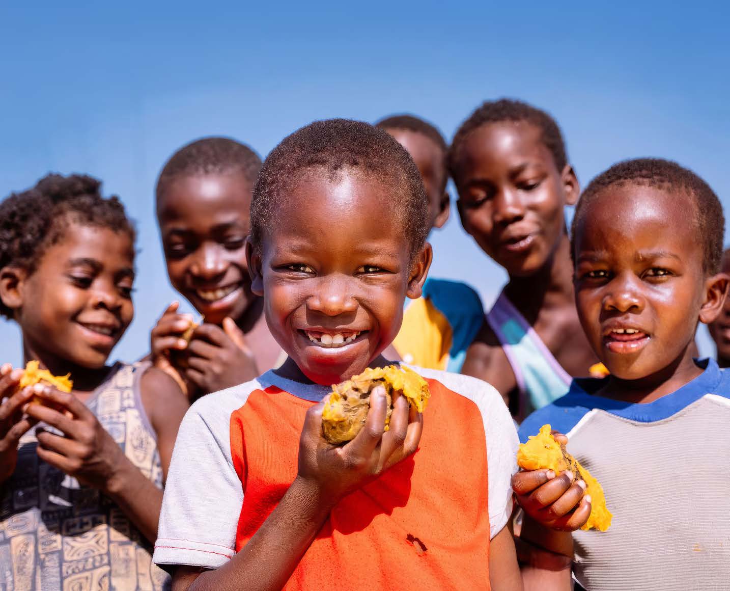Innovations and Pathways for Food Security and Nutrition
