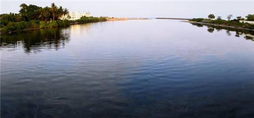 Tapping into the Unpolluted Cooum River