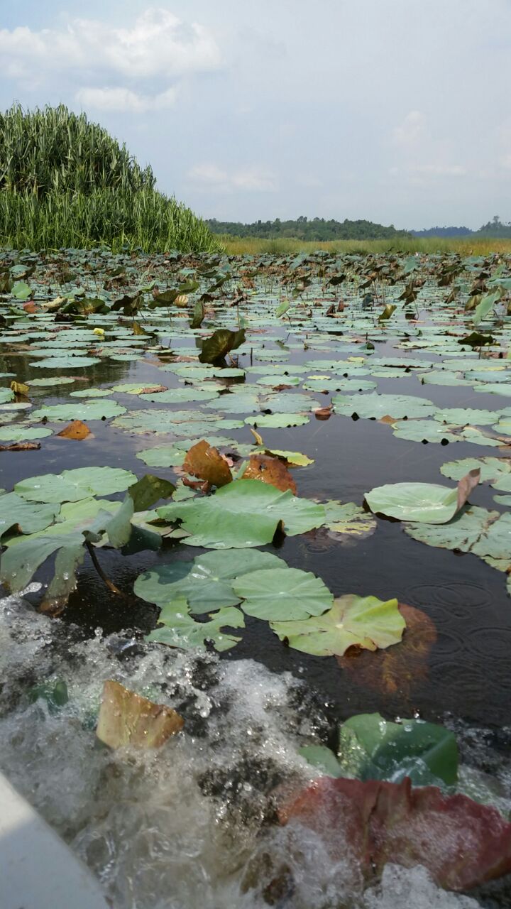 Lake Chini