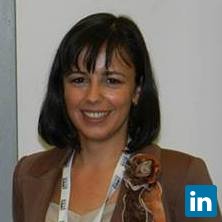 Elena Manea, Lecturer at Politehnica University of Bucharest