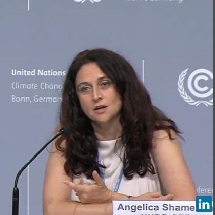 Angelica Shamerina, Environmental Specialist at UNDP