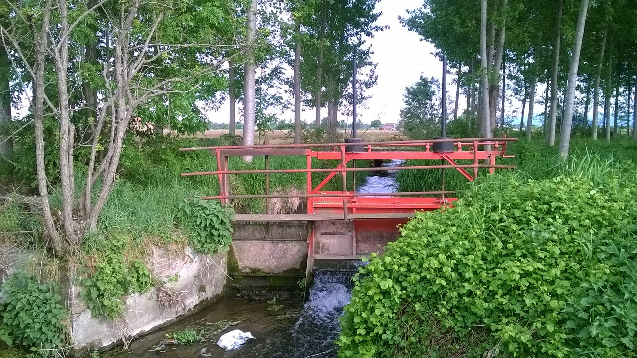 Loving hydraulics