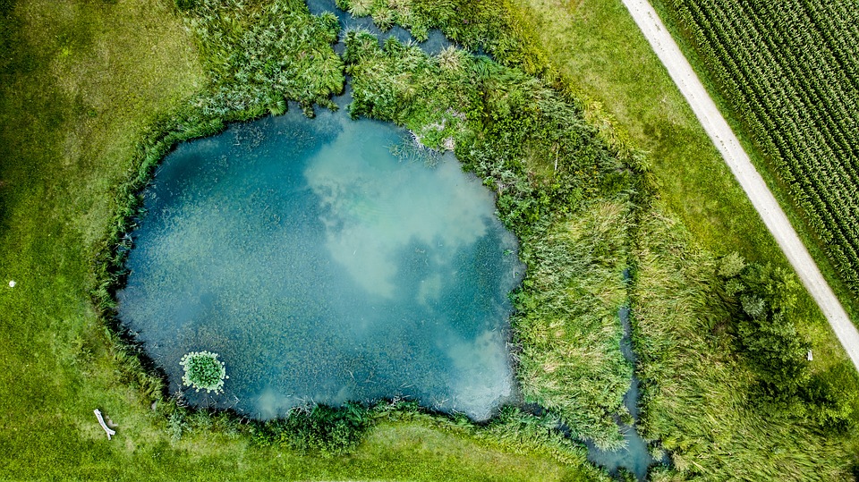 Satellite-based Lake Health Monitoring System Identifies Quality Changes in Real Time