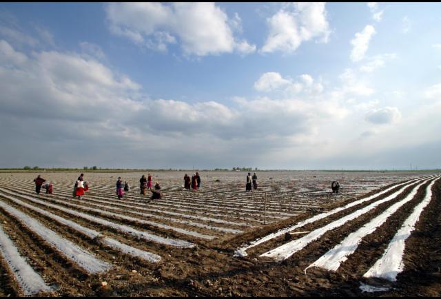 Will Central Asia Fight Over Water Resources?