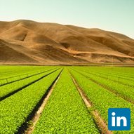 Smita More, Agriculture Consultant  at Agrotech Pvt Ltd.