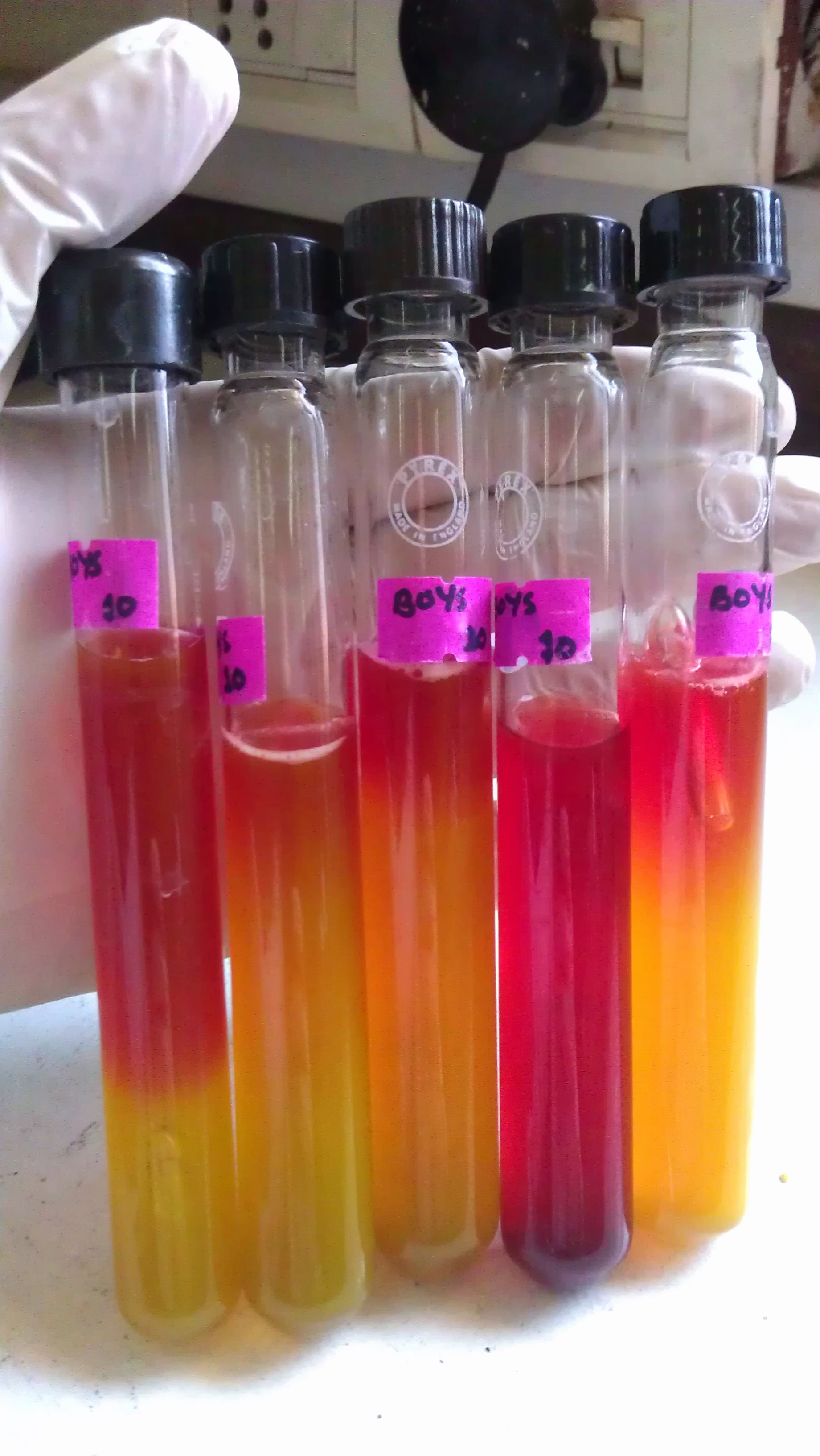 Water Pollution sources