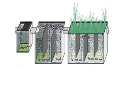 Phytorid Tech in Patna