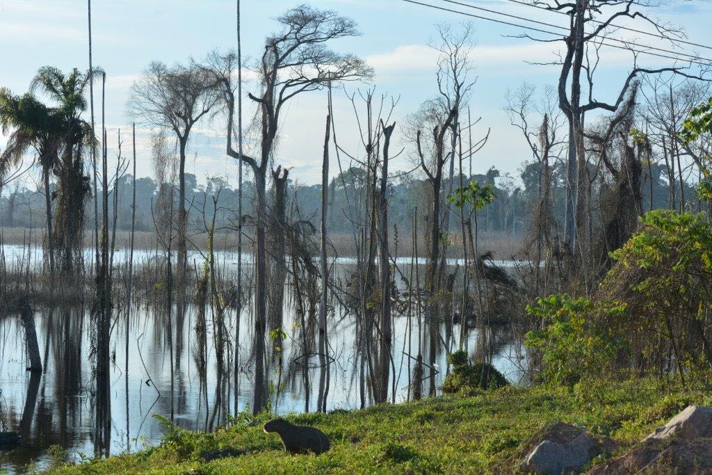UHE BELO MONTE - BRAZIL