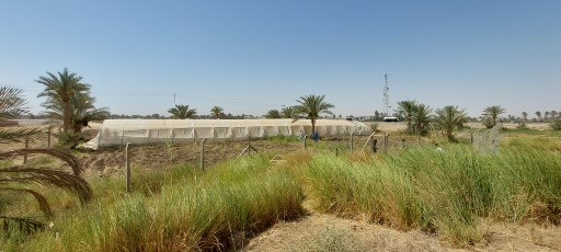 Iraq2022