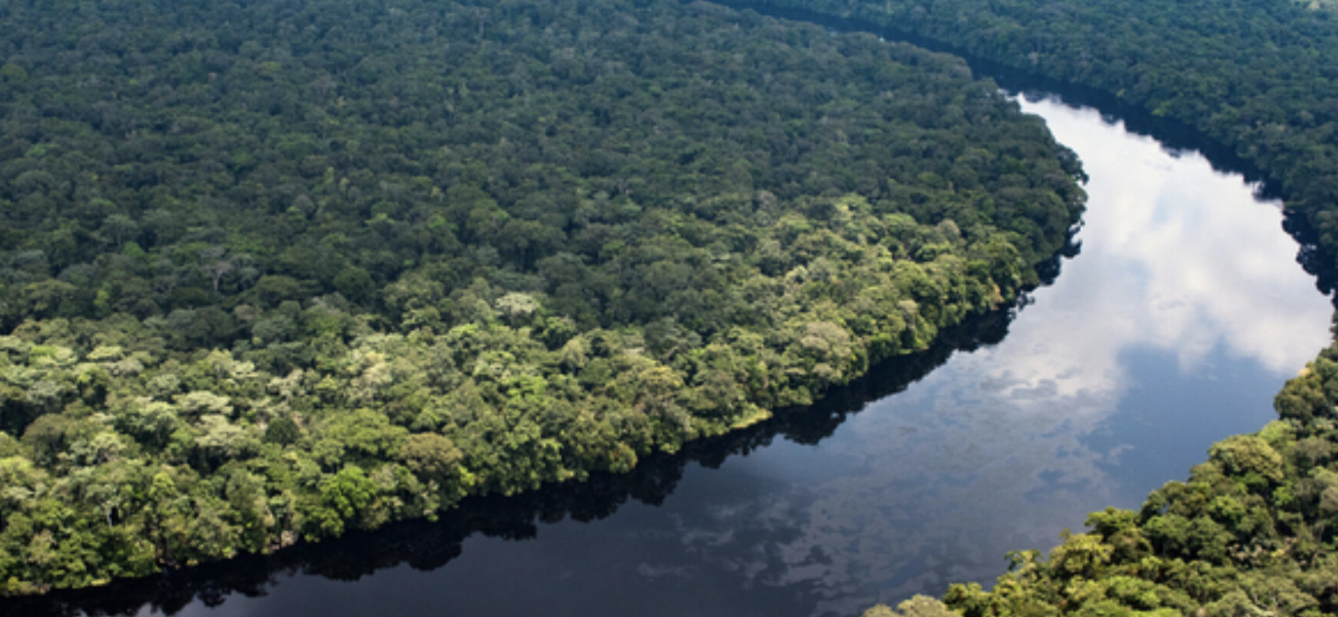 New global report urges urgent action to save wetlands