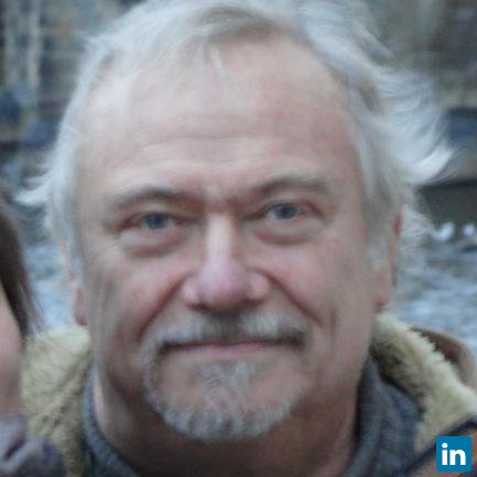 Fabio Gemini, free-lance consultant