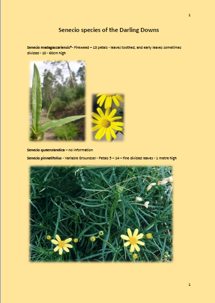 Various Plant Field guides.