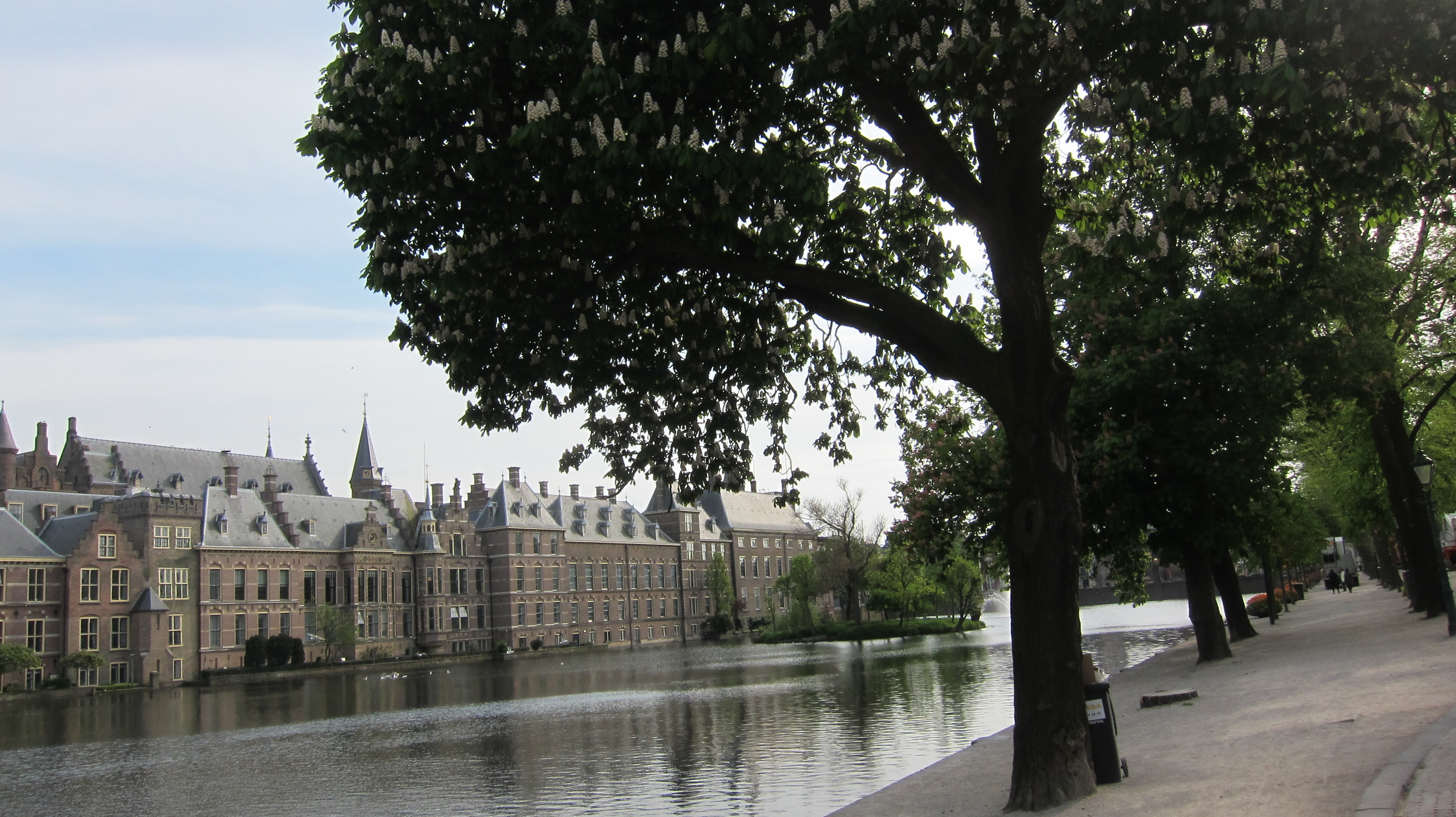 USNC 2016 Professionals Netherlands