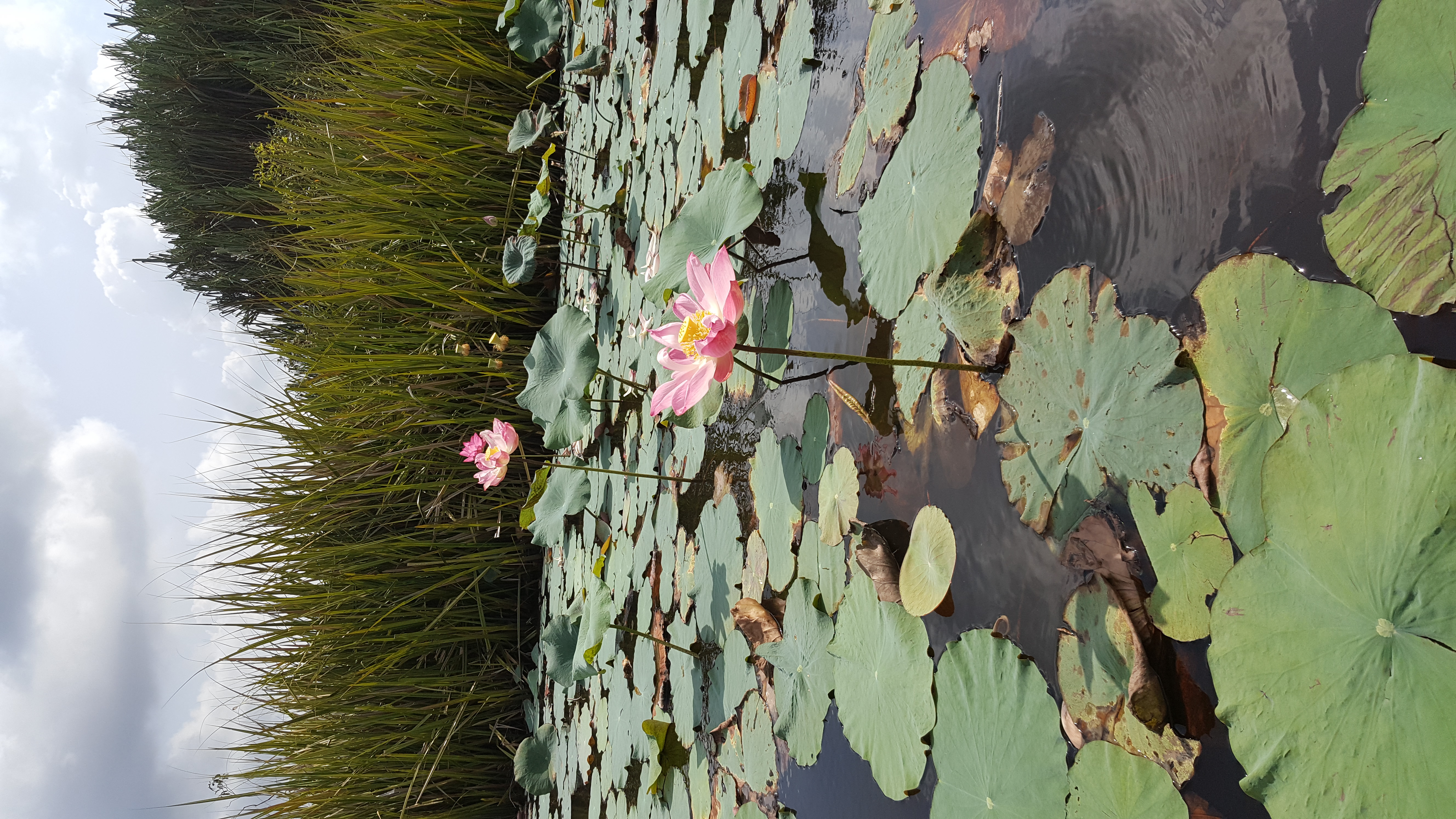 Lake Chini