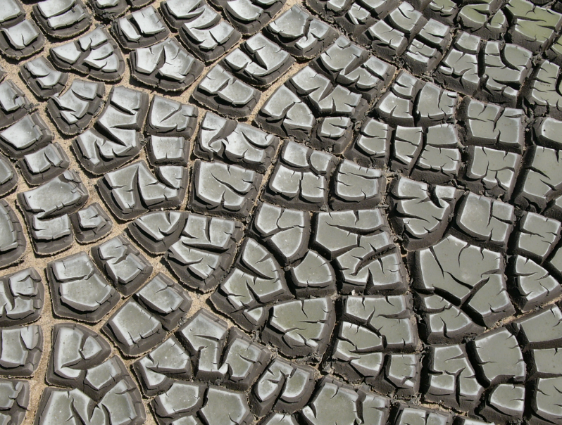 Non Thermal Sludge Drying technology company