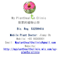 Jimmy Oh, CEO at My Planthealth Clinic