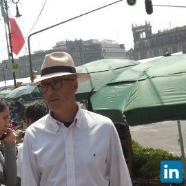 Vicente M. Picó Puchades, CEO at Vann World SL