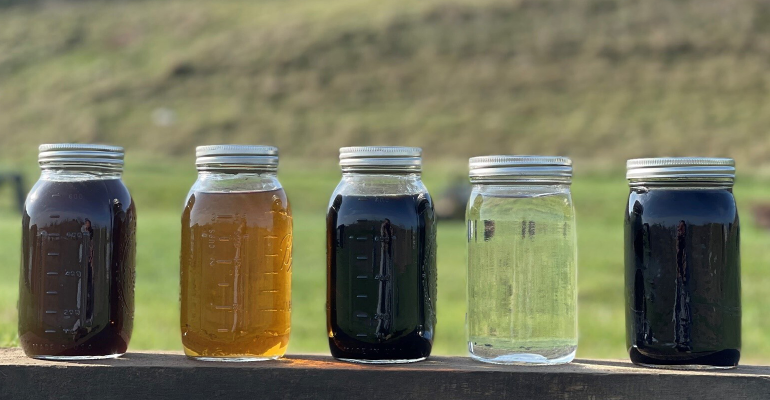 Wastewater solutions for manure and food-waste digesters