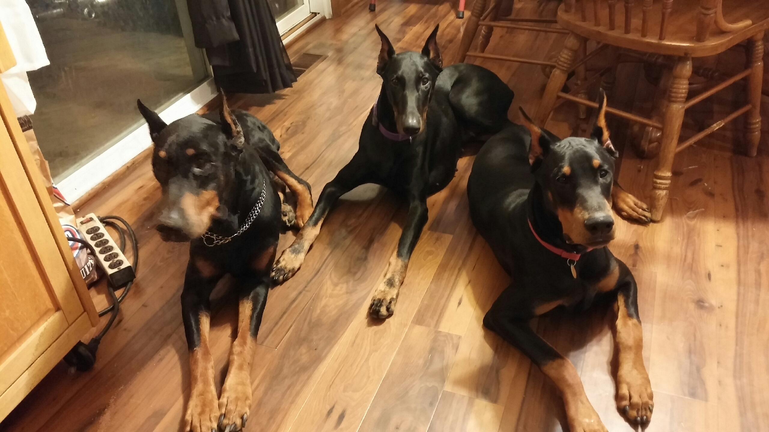 Ed Johnson, Pepsico - Facility Maintenance Technician