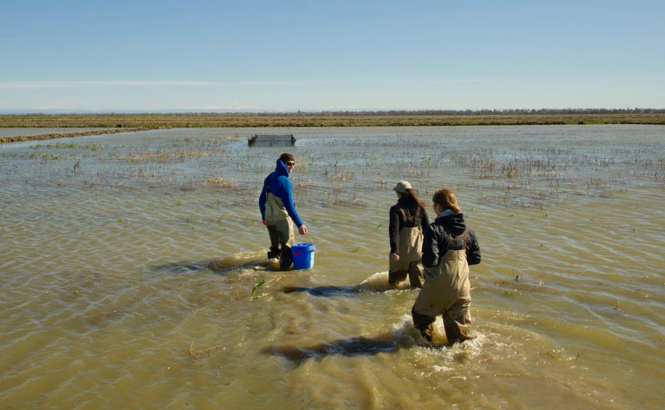 This Week in Water for January 31, 2021