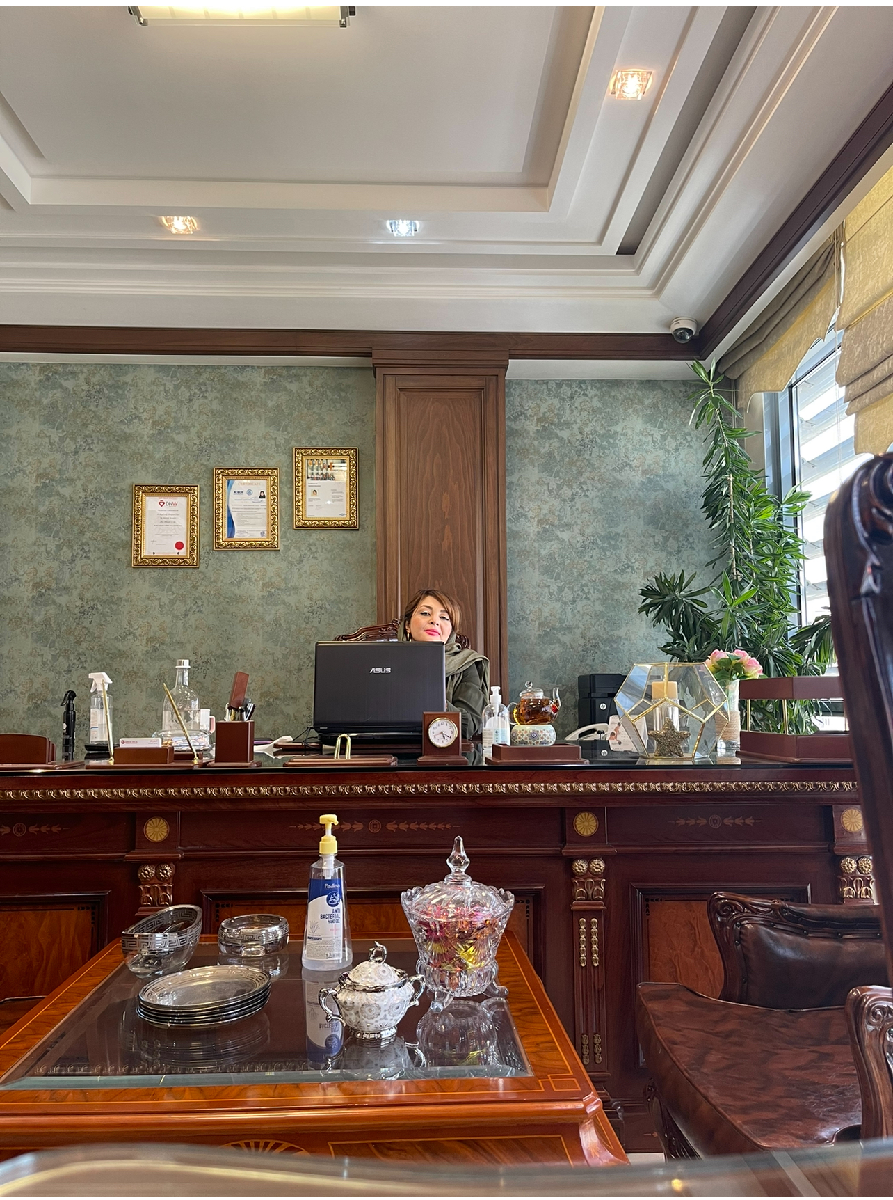 MAHDIEH MOSTAFAVI, Managing Director at LIAN TABDIR PARS