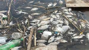 Nile water pollution in Egypt