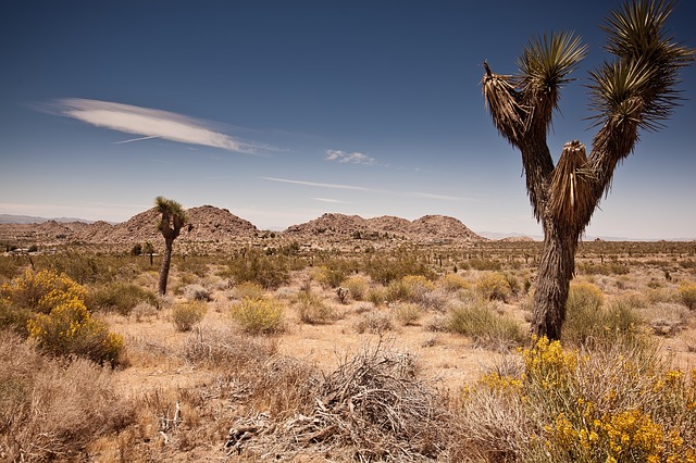 California is Backsliding on Water Conservation