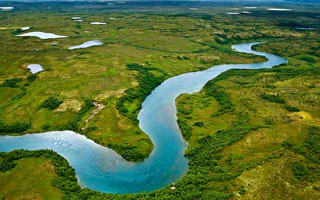 Rivers Regulate Global Carbon Cycle