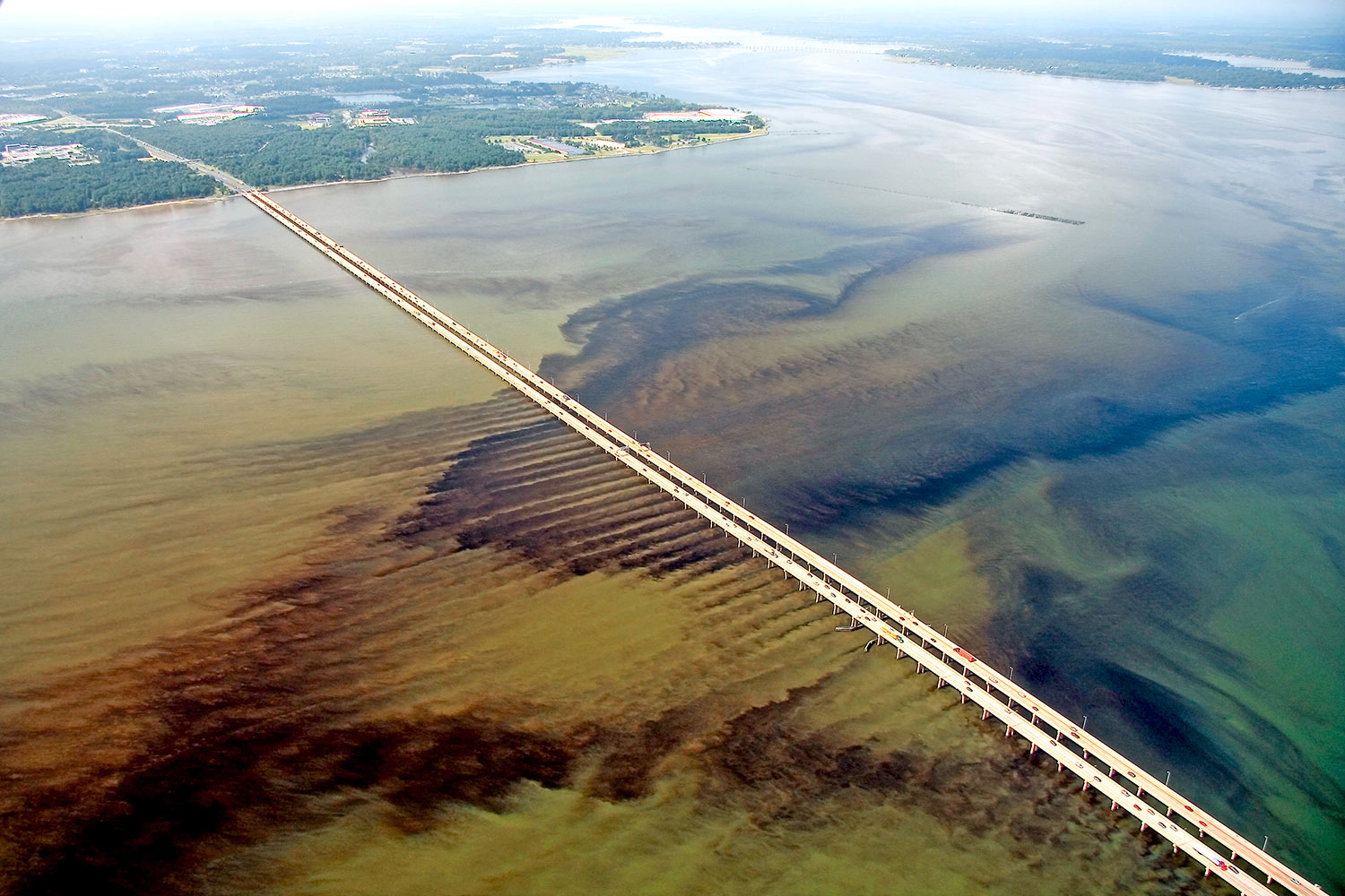 How Does Your Lifestyle Affect the Chesapeake?