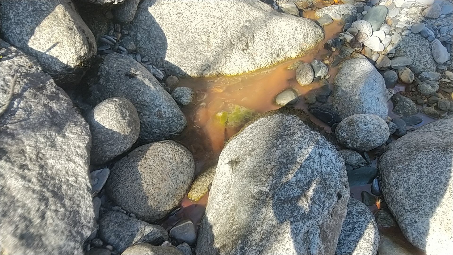 Expertise of rivers: environnement