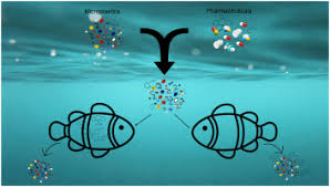 EPA moves to designate microplastics and pharmaceuticals as contaminants in drinking waterby: JENNIFER McDERMOTT and ALI SWENSON, Associated Pre...
