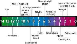 Dose magnesium ...