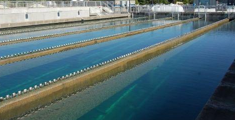 Innovative Sludge-to-Energy Plant In China