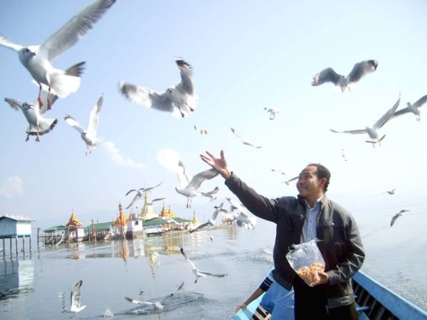 Naing Lin Oo, Agribusiness and Rural Development Consultants (ARDC)