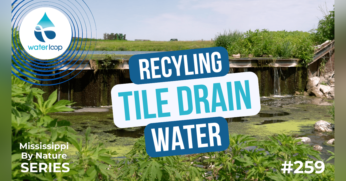 Recycling Tile Drain Water: How Farmers Can Reduce Runoff