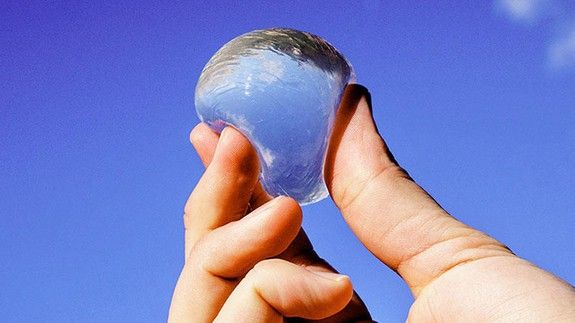 Edible water orbs