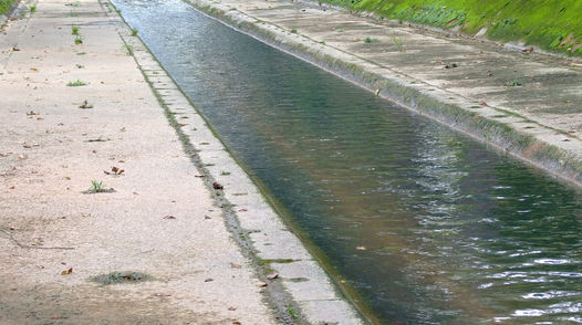 Microbes with Potential to Cleanse Waterways