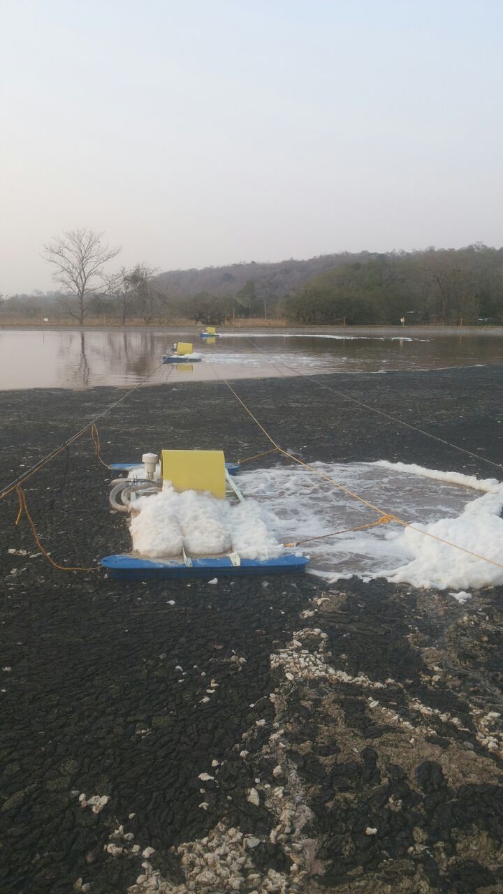WWTP - CADECA - CHICKEN PROCESSING FACTORY